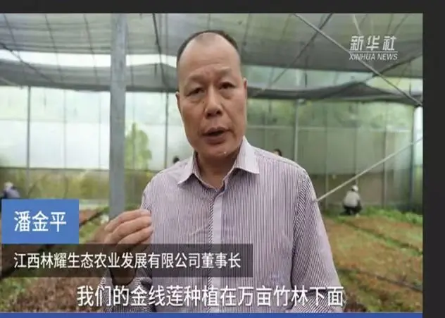 Jiangxi Linyao Ecological Agriculture Development Co., Ltd. ၏ ဥက္ကဌ Pan Jinping မှ Xinhua News Agency မှ တွေ့ဆုံမေးမြန်းခဲ့ပါသည်။