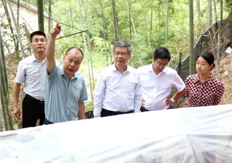 Liu Hongning သည် Jiangxi University of Traditional Chinese Medicine ၏ Advanced Research Institute မှ ဌာနမှူးဖြစ်ပြီး University ၏ Party Secretary ဖြစ်သူ Jiangxi ရှိ တရုတ်တိုင်းရင်းဆေးပညာကို ကျယ်ကျယ်ပြန့်ပြန့် ပြုပြင်ပြောင်းလဲရန်အတွက် ပြည်နယ်ကျွမ်းကျင်သူအဖွဲ့အား Anoectochilus အခြေစိုက်စခန်းတွင် သုတေသနပြုလုပ်ရန် ဦးဆောင်ခဲ့ပါသည်။ Liu Hongning သည် Jiangxi University of Traditional Chinese Medicine ၏ Advanced Research Institute မှ ဌာနမှူးဖြစ်ပြီး University ၏ Party Secretary ဖြစ်သူ Jiangxi ရှိ တရုတ်တိုင်းရင်းဆေးပညာကို ကျယ်ကျယ်ပြန့်ပြန့် ပြုပြင်ပြောင်းလဲရန်အတွက် ပြည်နယ်ကျွမ်းကျင်သူအဖွဲ့အား Anoectochilus အခြေစိုက်စခန်းတွင် သုတေသနပြုလုပ်ရန် ဦးဆောင်ခဲ့ပါသည်။